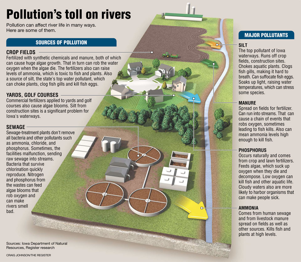 River Pollution